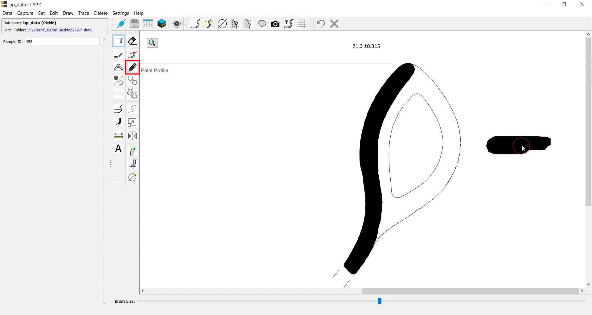 Paint profile
